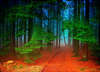 Colorful forest.